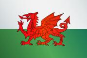 The NHS in Wales: autumn 2023 briefing 