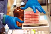 Research in progress: clinical trials in the NHS